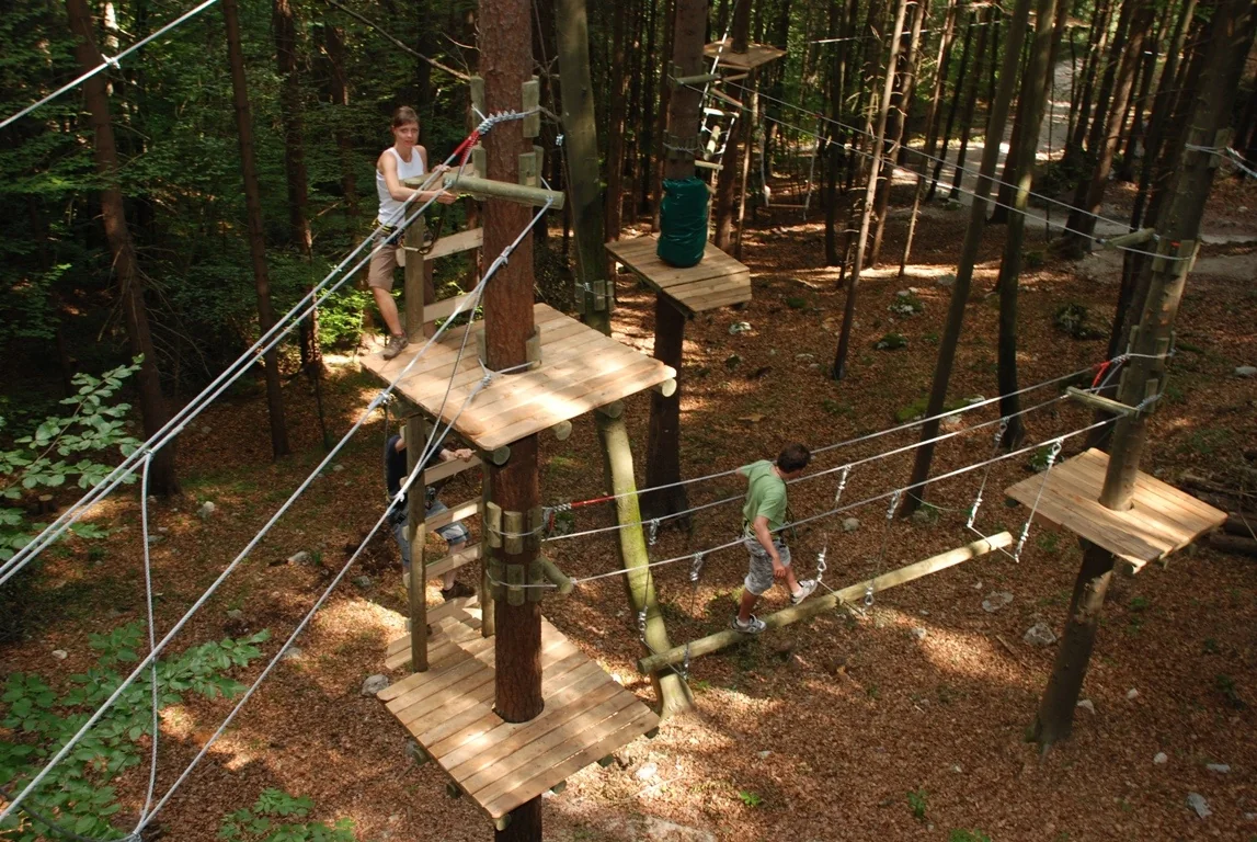 Grupa učesnika na team building aktivnosti u avanturističkom parku